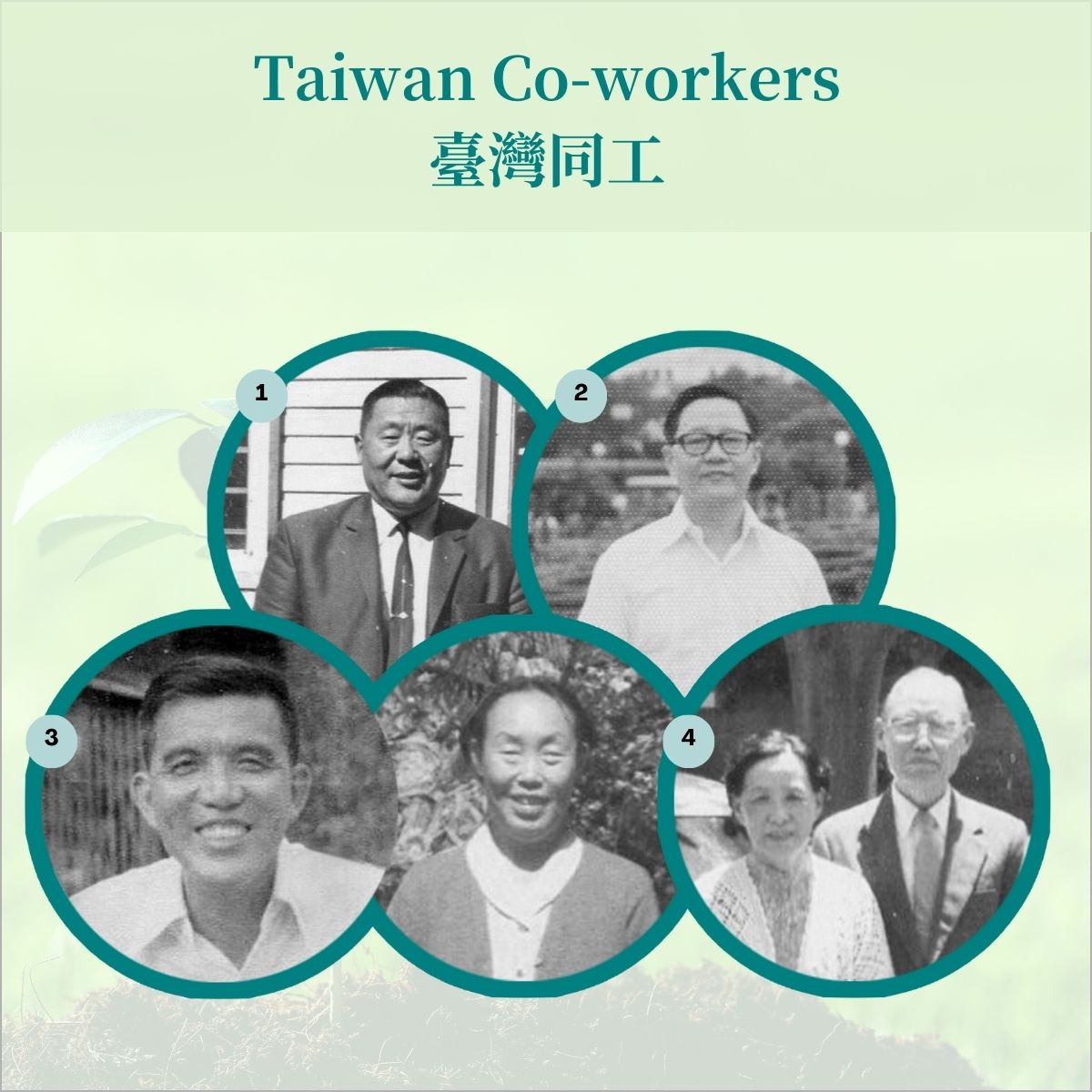 Taiwan Co-workers